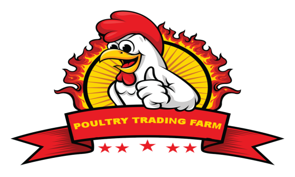 Yoseph Poultry Farm